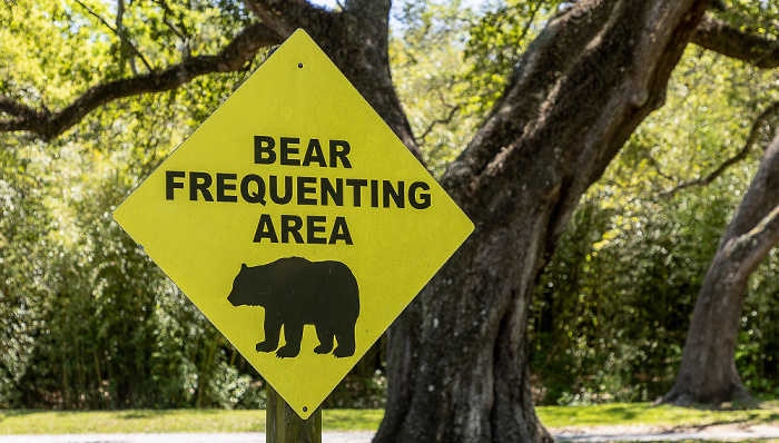 Warnschild Bear frequenting area Avery Island