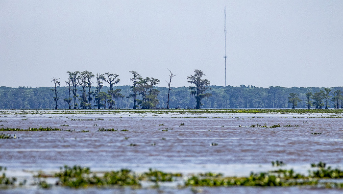 Atchafalaya River (Atchafalaya Basin Main Channel) Atchafalaya National Heritage Area
