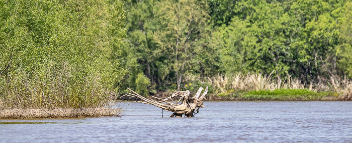 Atchafalaya River (Atchafalaya Basin Main Channel) Atchafalaya National Heritage Area