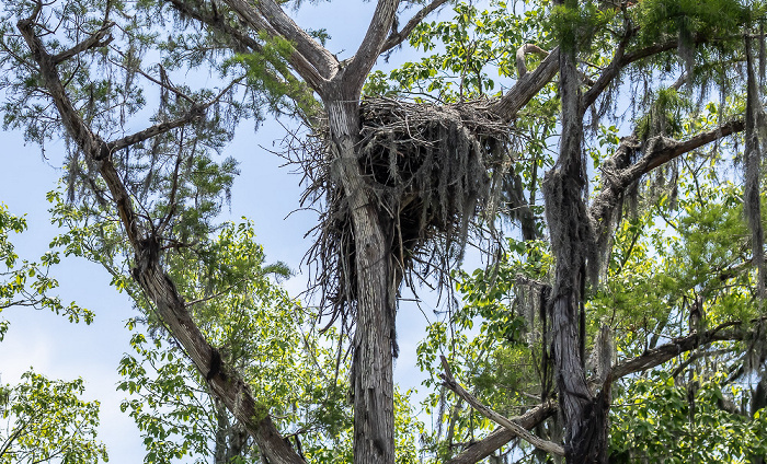 Atchafalaya National Heritage Area