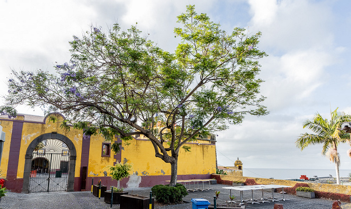 Zona Velha da Cidade: Forte de São Tiago Funchal