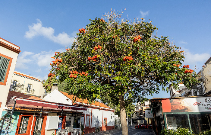 Zona Velha da Cidade: Largo do Corpo Santo Funchal