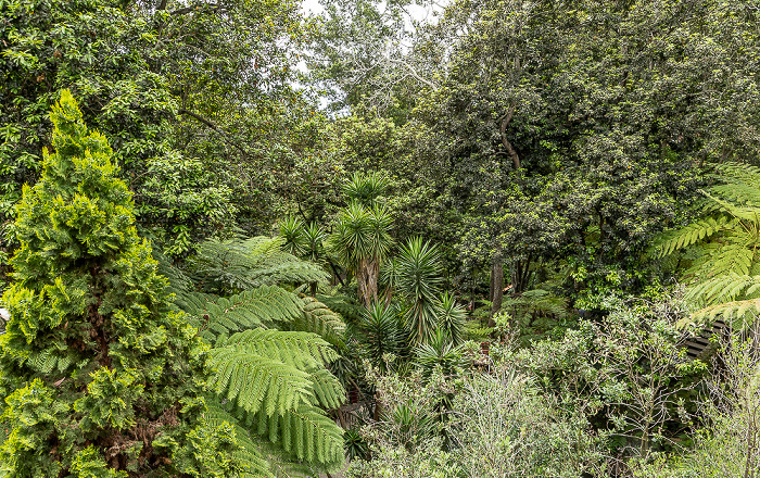 Jardim Tropical Monte Palace Funchal