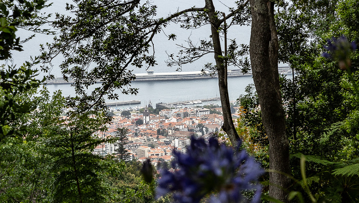 Jardim Tropical Monte Palace, Stadtzentrum mit Sé do Funchal, Hafen, Atlantik Funchal