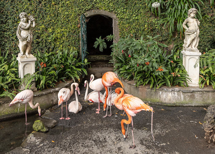 Jardim Tropical Monte Palace Funchal