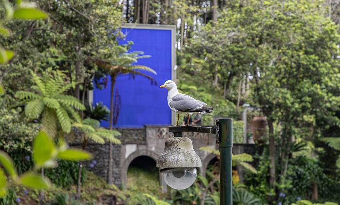 Jardim Tropical Monte Palace Funchal