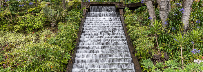 Jardim Tropical Monte Palace Funchal