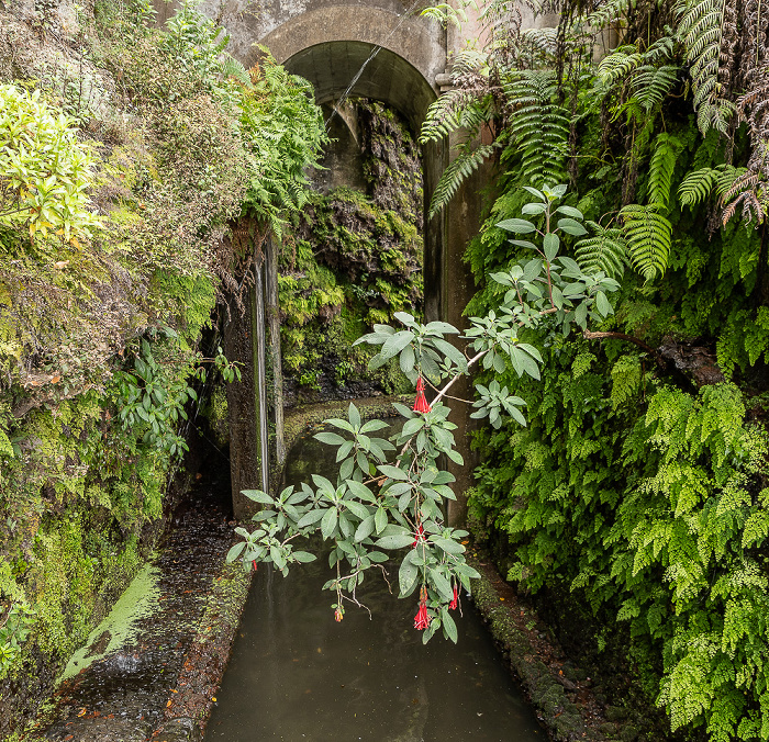 Jardim Tropical Monte Palace Funchal