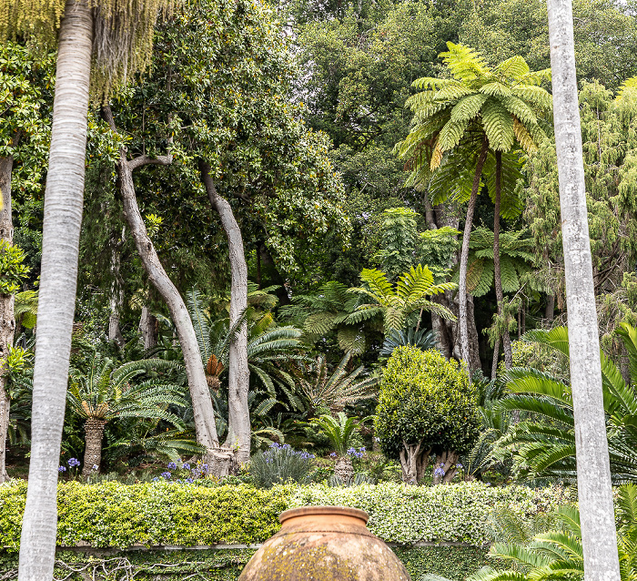 Jardim Tropical Monte Palace Funchal
