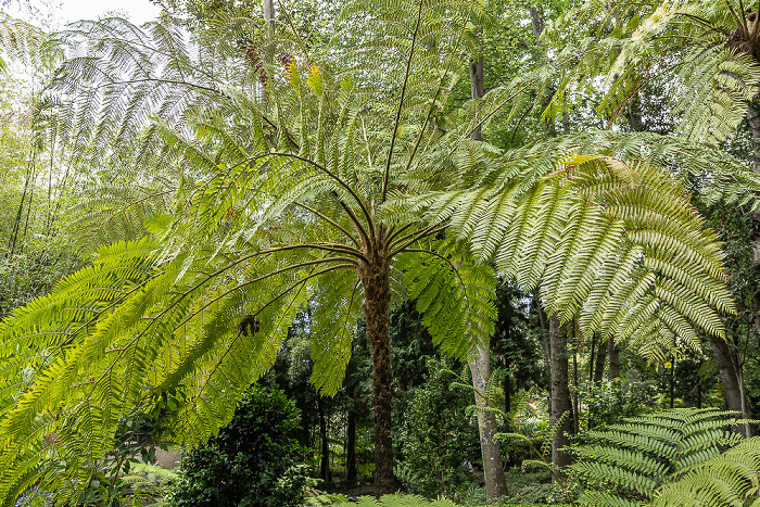 Jardim Tropical Monte Palace Funchal