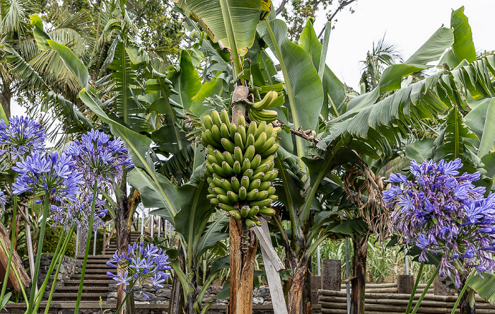 Jardim Tropical Monte Palace Funchal