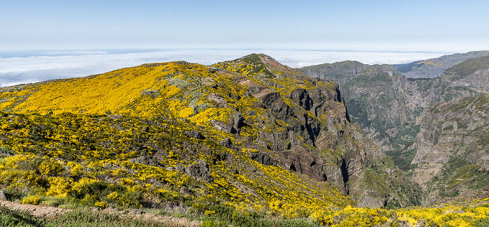 Pico do Arieiro