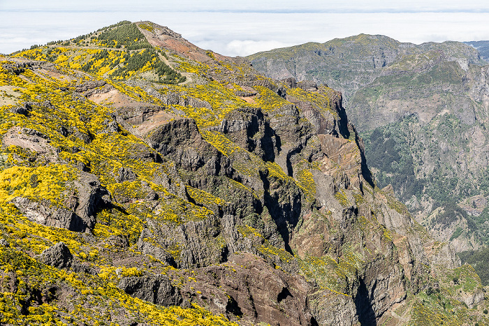 Pico do Arieiro