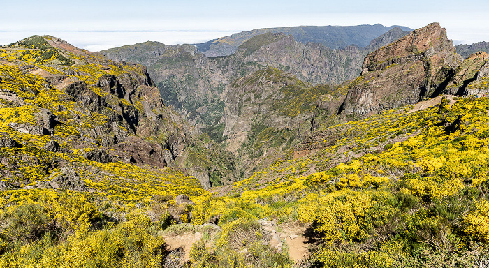 Pico do Arieiro