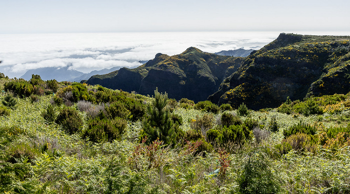 Pico do Arieiro