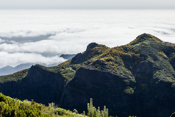 Pico do Arieiro