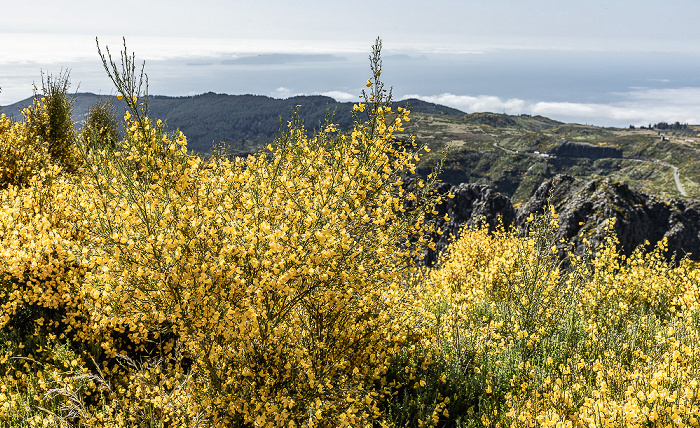 Pico do Arieiro