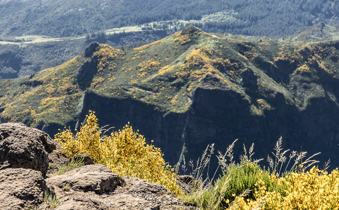 Pico do Arieiro