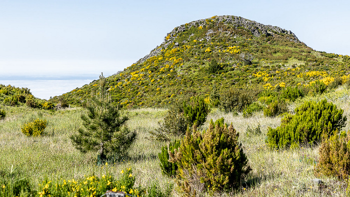 Pico do Arieiro