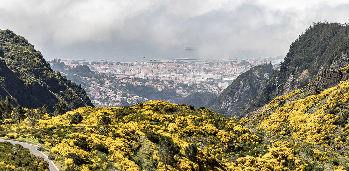 Pico do Arieiro
