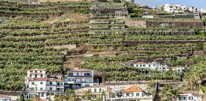 Câmara de Lobos