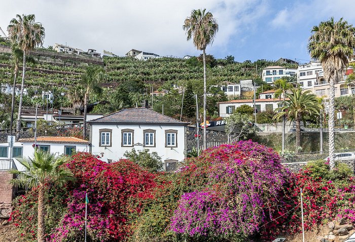 Câmara de Lobos