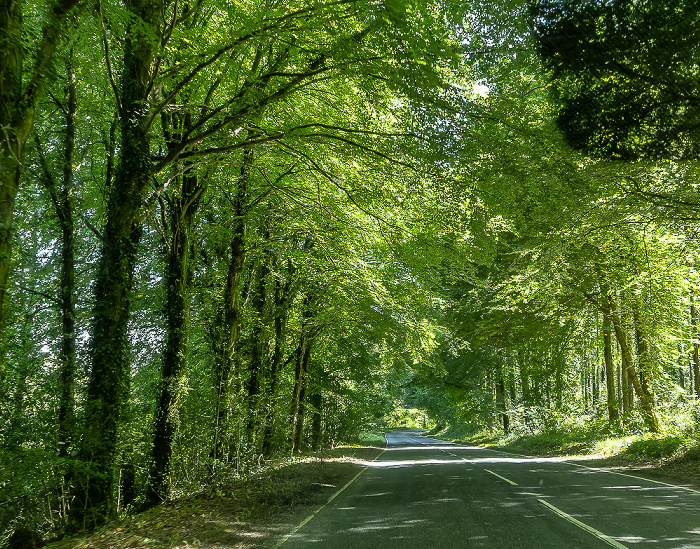 Lough Shore Road County Fermanagh