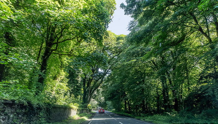 Lough Shore Road County Fermanagh