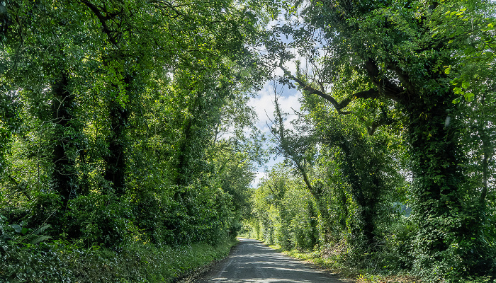 Lough Shore Road County Fermanagh