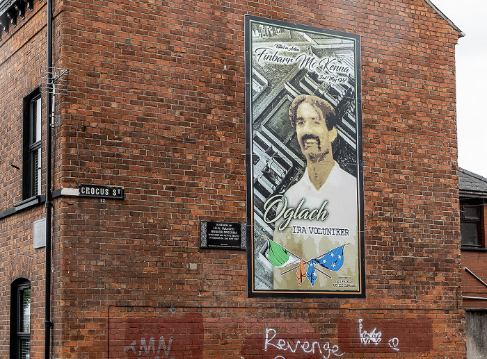 West Belfast: Crocus Street Belfast