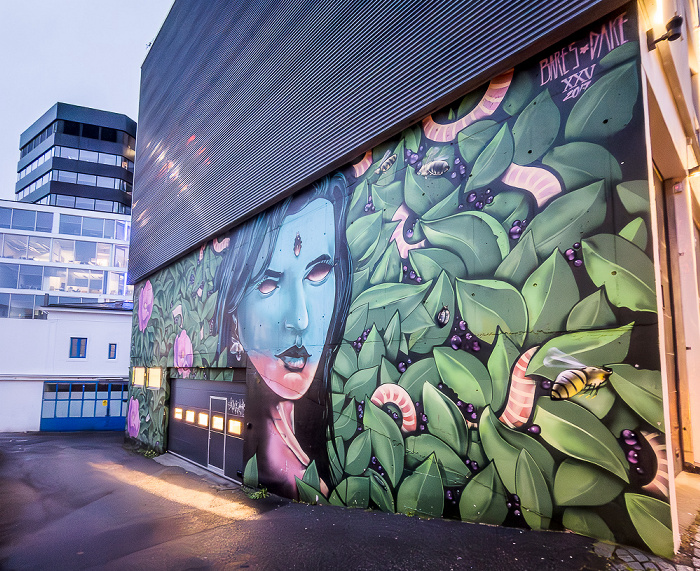 Nygårdsgaten: Street Art Bergen
