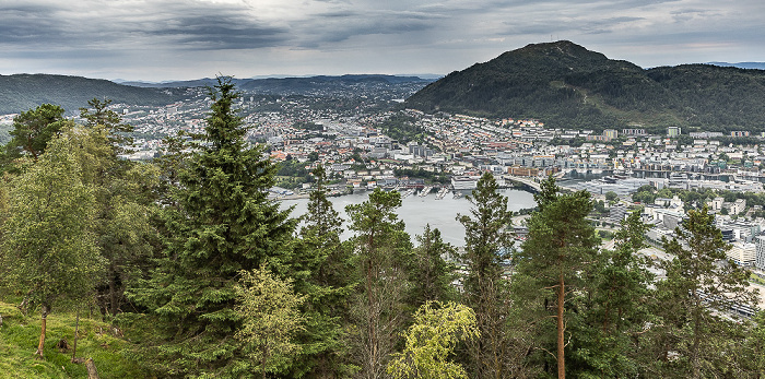 Blick vom Fløyen Bergen