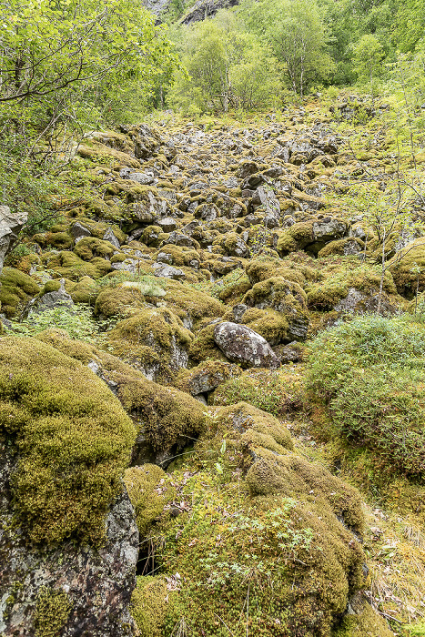 Nærøydalen Voss