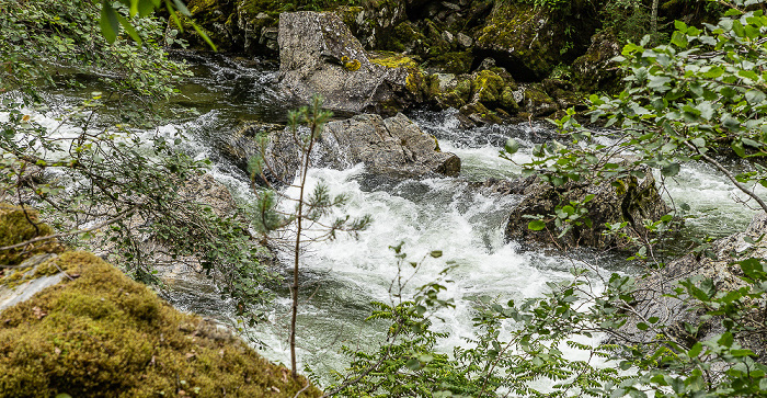 Nærøydalselvi Voss