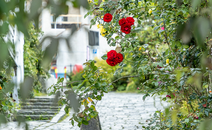 Gamle Stavanger: Andasmauet Stavanger
