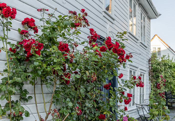 Gamle Stavanger: Mellomstraen Stavanger