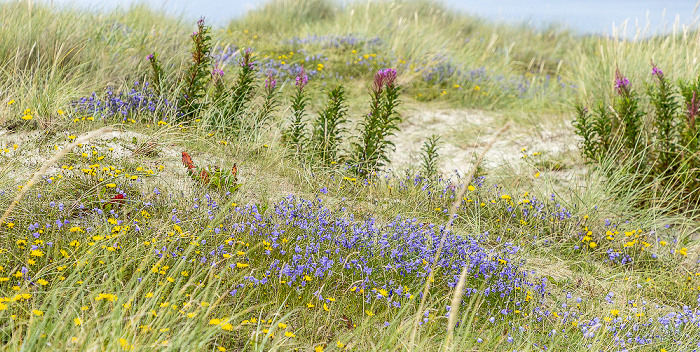 Solastranden Stavanger