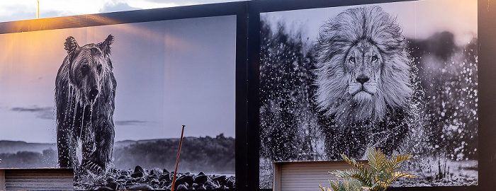 Filipstadkaia: Skur 13 - Street Art Oslo