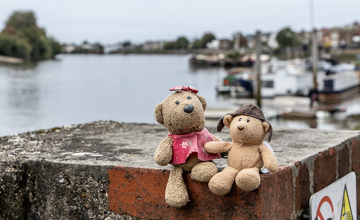 London Lower Mall: Ted und Teddine Themse