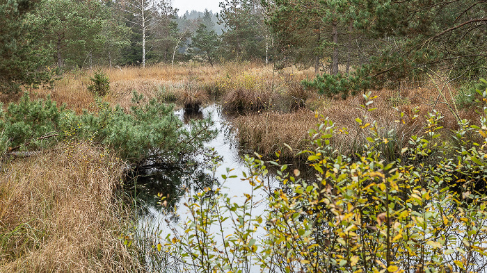 Spatenbräufilz Egling