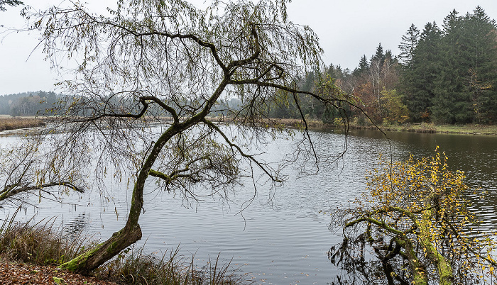Spatenbräufilz: Mooshamer Weiher Egling