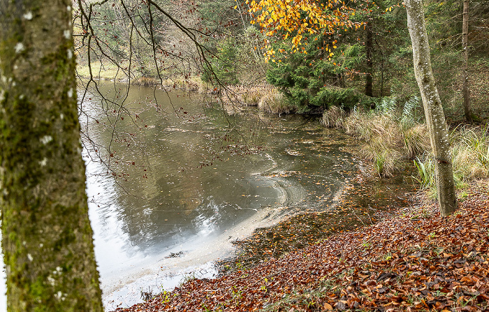 Spatenbräufilz: Mooshamer Weiher Egling