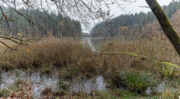 Thanninger Weiher Egling