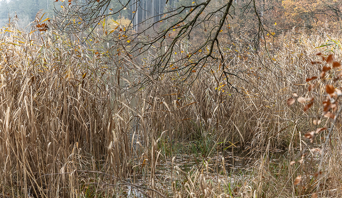 Thanninger Weiher Egling