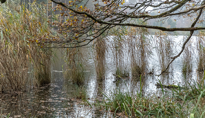 Thanninger Weiher Egling