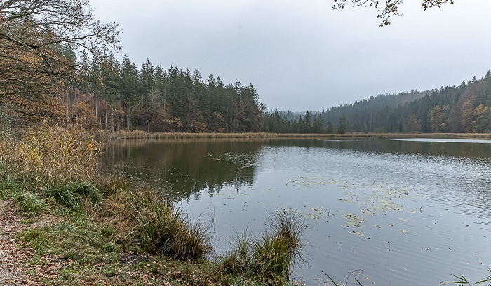 Thanninger Weiher Egling