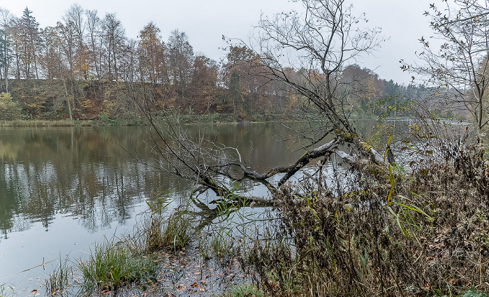 Thanninger Weiher Egling