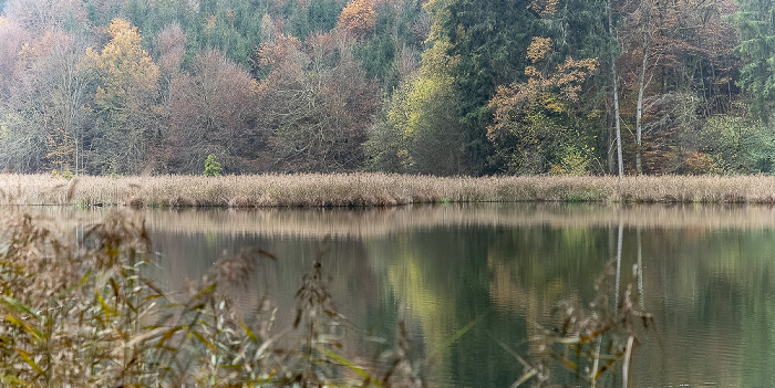 Thanninger Weiher Egling