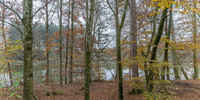 Thanninger Weiher Egling