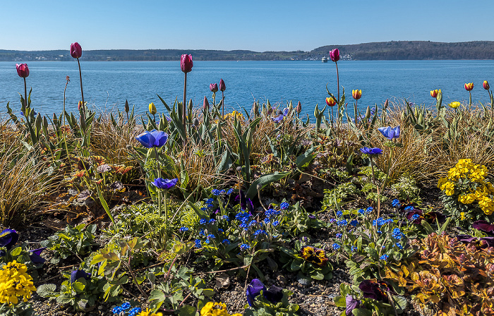 Seepromenade, Bodensee (Überlinger See) Überlingen